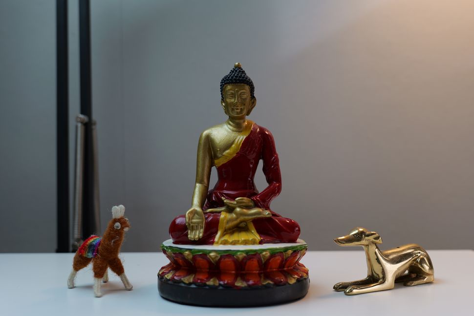 Panasonic Lumix S5IIX-14