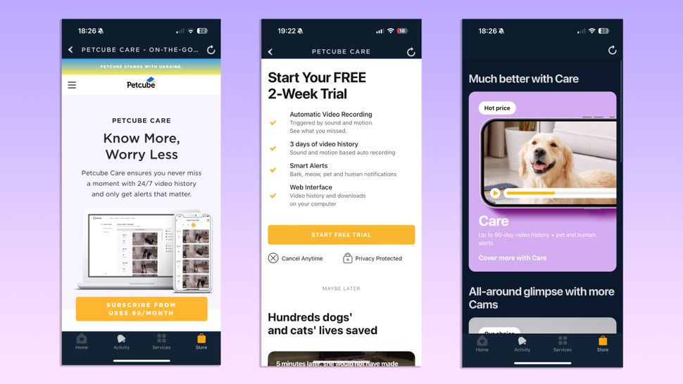 Petcube Bites 2 Lite – обзор автоматической кормушки картинка Petcube Bites 2 Lite-13