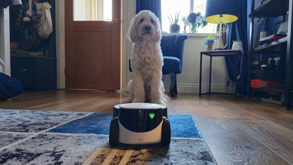 Enabot ROLA PetPal-14