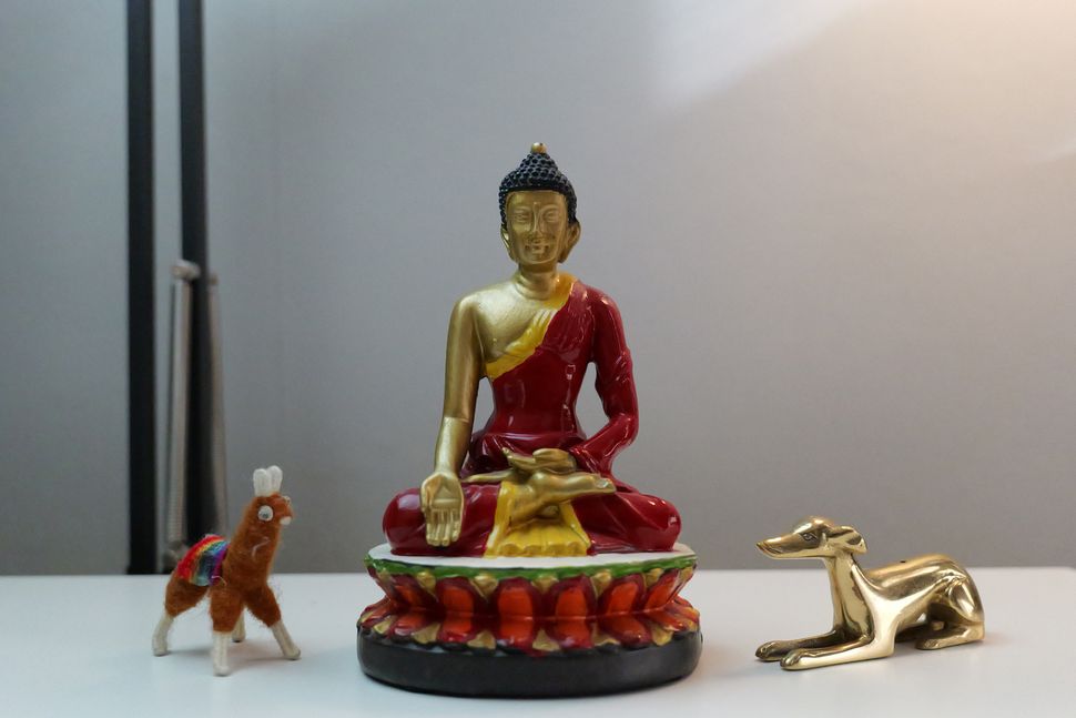 Panasonic Lumix S5IIX-15