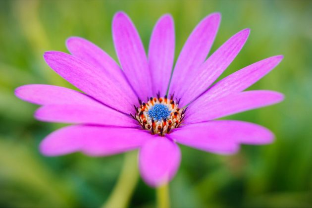 фото сделанное Ricoh GR IV