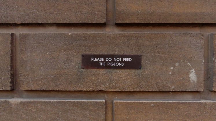 Kandao QooCam 3 Ultra