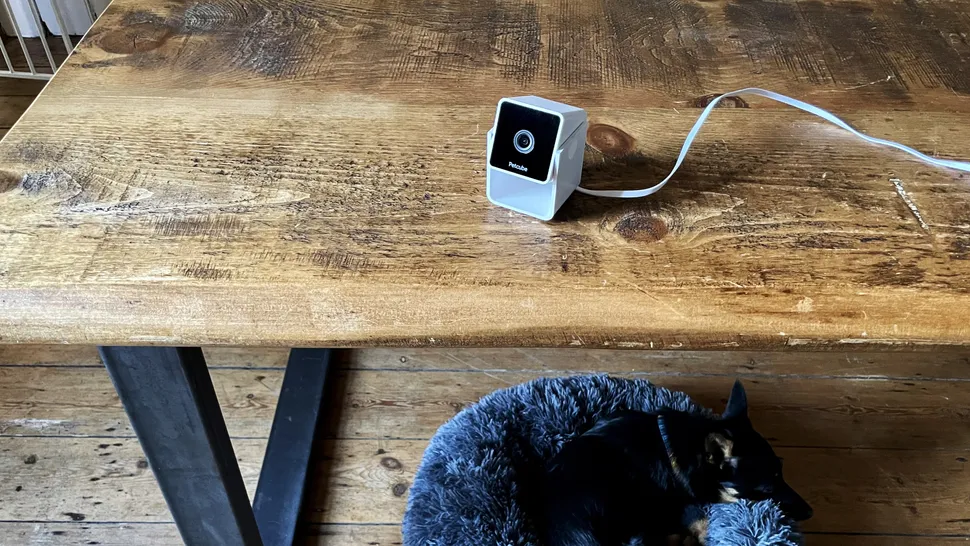 Petcube Cam-2