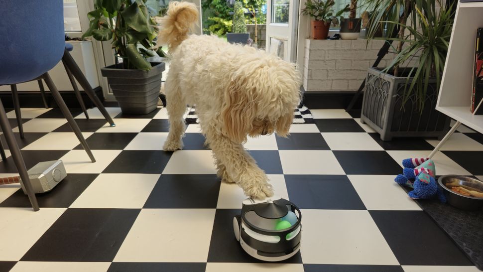 Enabot ROLA PetPal-2