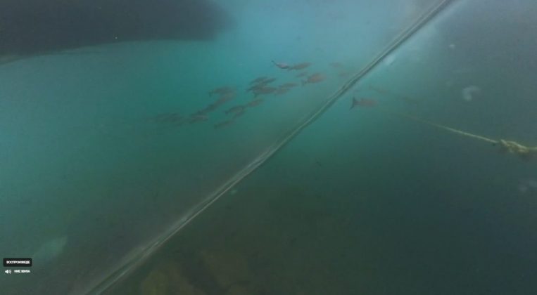 Обзор Insta360 Go Ultra: размер имеет значение? фото