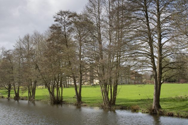 Canon EOS Rebel T7 / EOS 2000D