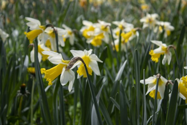 Canon EOS Rebel T7 / EOS 2000D