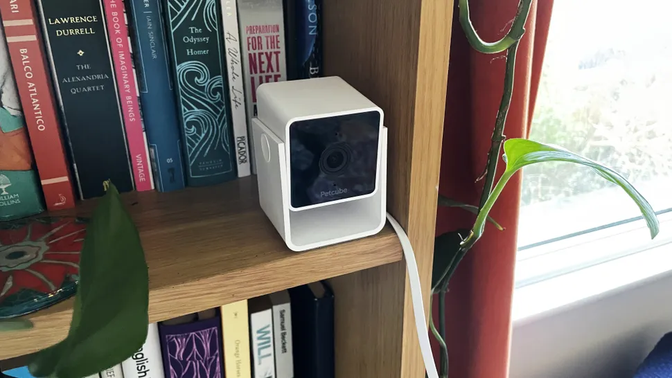 Petcube Cam-3