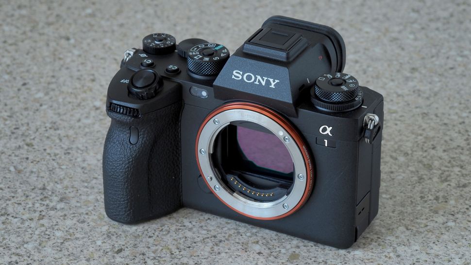 Sony A1 -3