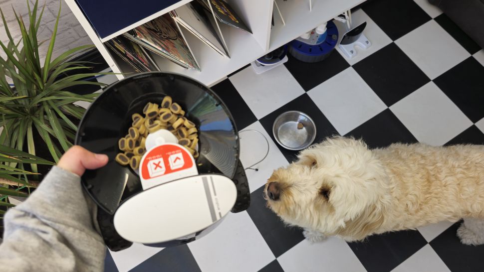 Enabot ROLA PetPal-3