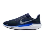 Nike Pegasus 41