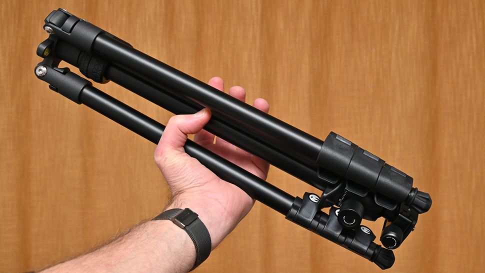 3 Legged Thing Patti 2.0