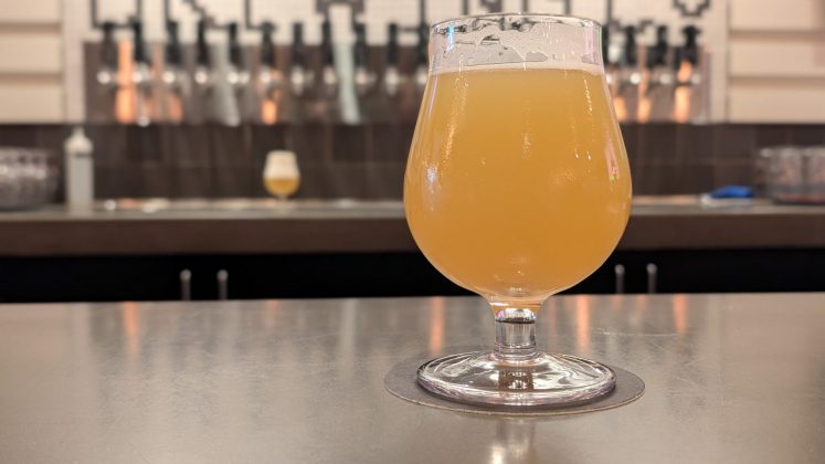 Google Pixel 9 Pro and Pro XL