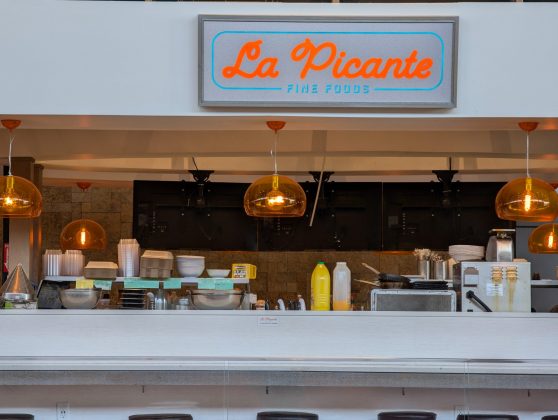 Google Pixel 9 Pro and Pro XL