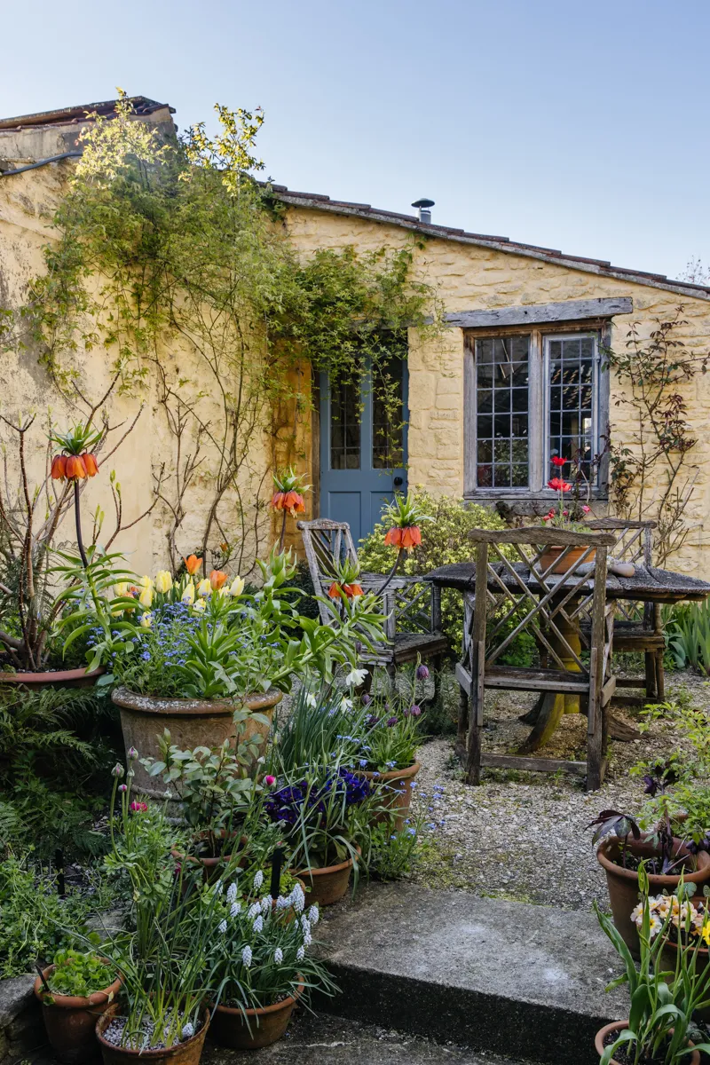 Дешевые идеи для сада: как растянуть ваш бюджет на садоводство и получить максимум