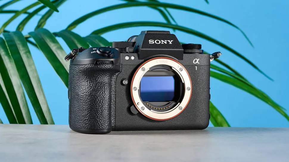 Sony A1 II-2