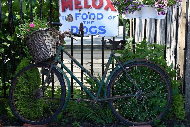 Nikon Z 24-200mm f/4-6.3 VR