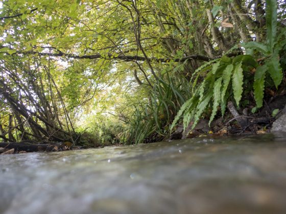 OM System Tough TG-7