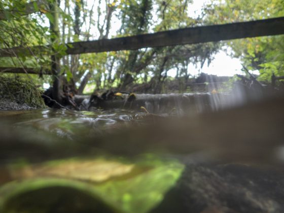 OM System Tough TG-7