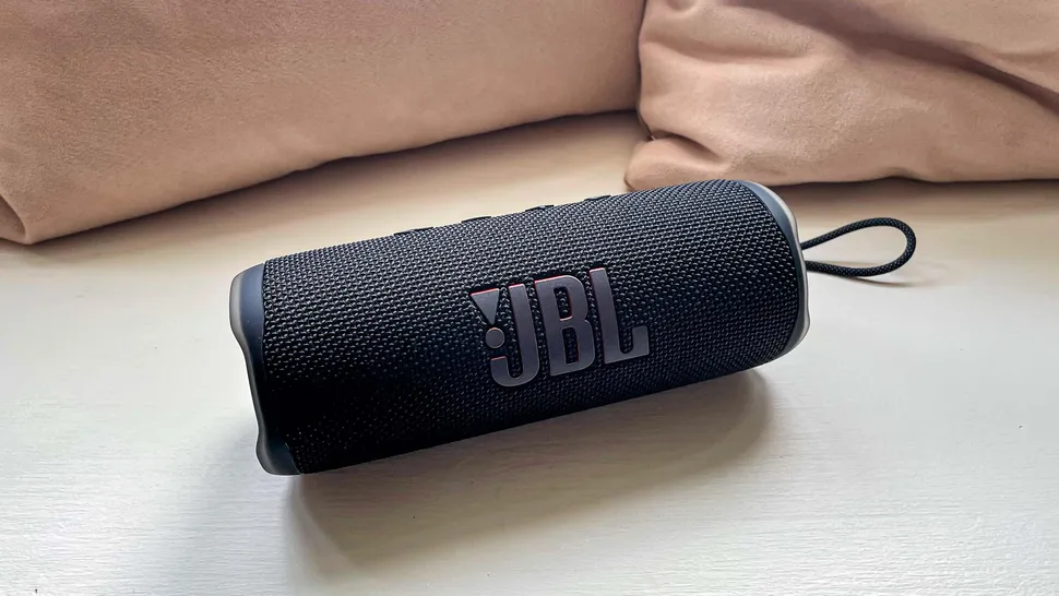 JBL Flip 6-5