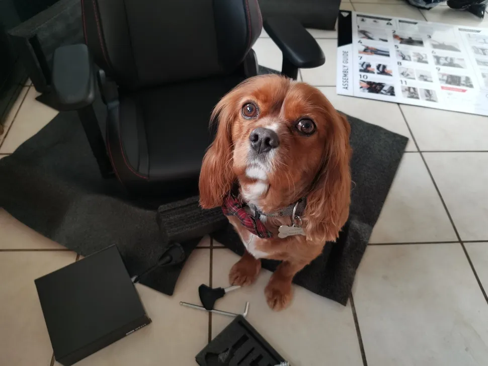 Secretlab Titan XXS-5