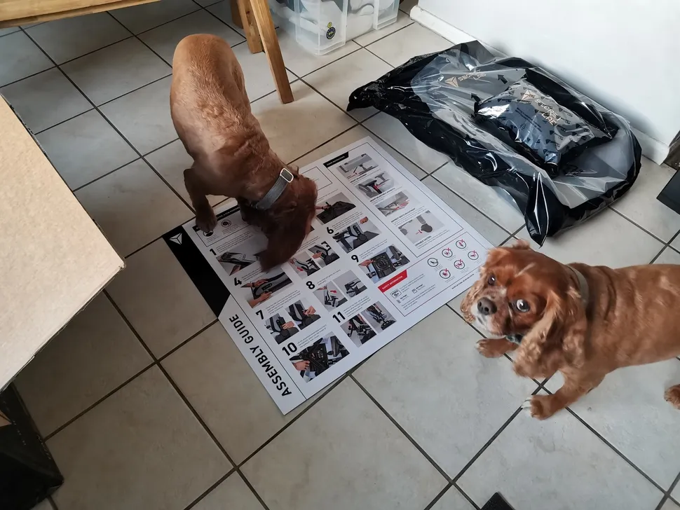 Secretlab Titan XXS-6