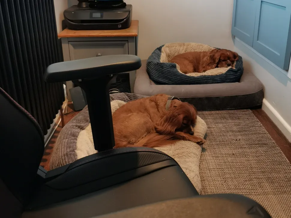 Secretlab Titan XXS-7