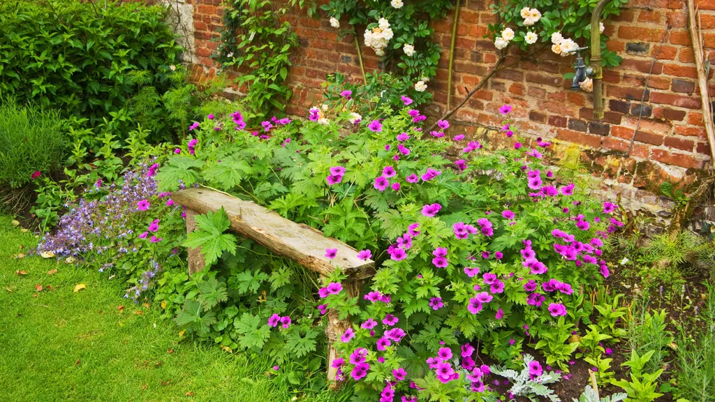 Какие многолетники обрезать в августе, чтобы сад цвел до самых заморозков?