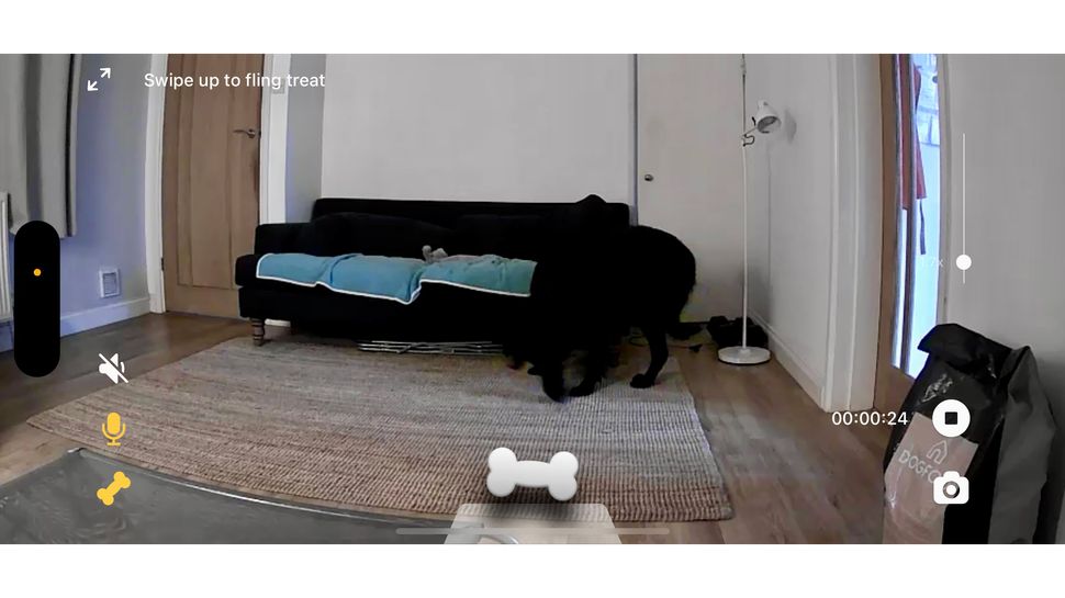 Petcube Bites 2 Lite – обзор автоматической кормушки картинка Petcube Bites 2 Lite-8