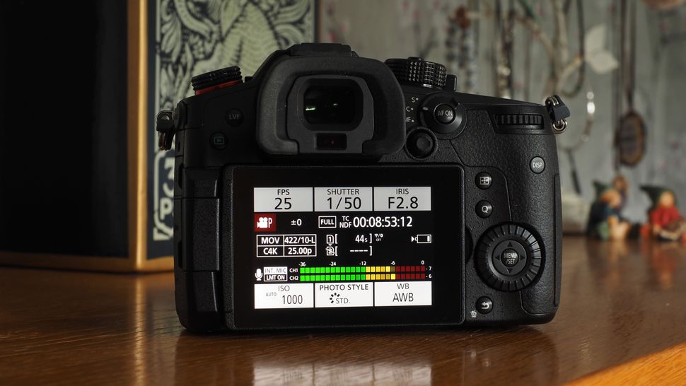 Panasonic Lumix GH5 II-9