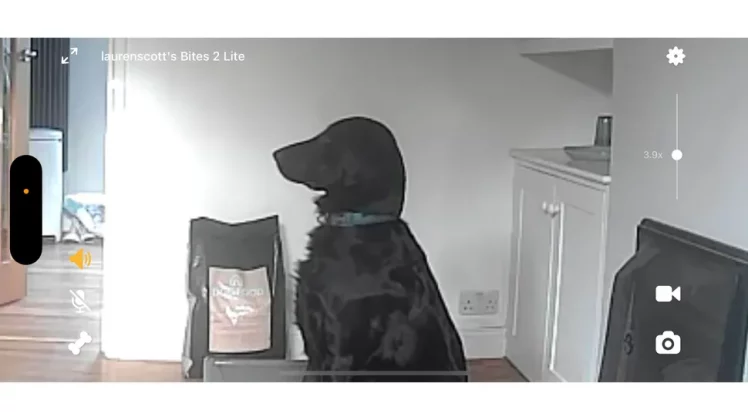 Petcube Bites 2 Lite-9