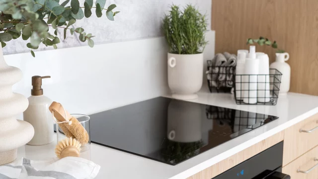 Стоит ли переходить на индукционную плиту? 6 шеф-поваров вынесли свой вердикт — и он вас удивит