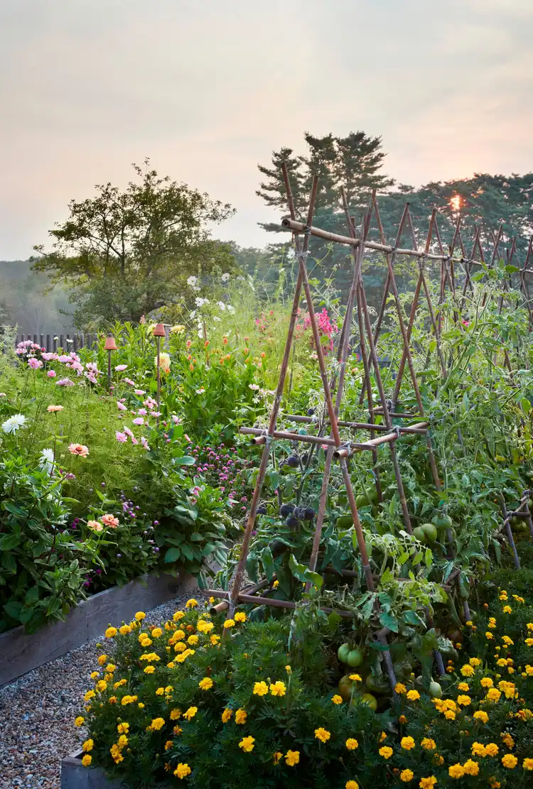 Идеальный огород на высоких грядках: 7 правил потрясающего дизайна