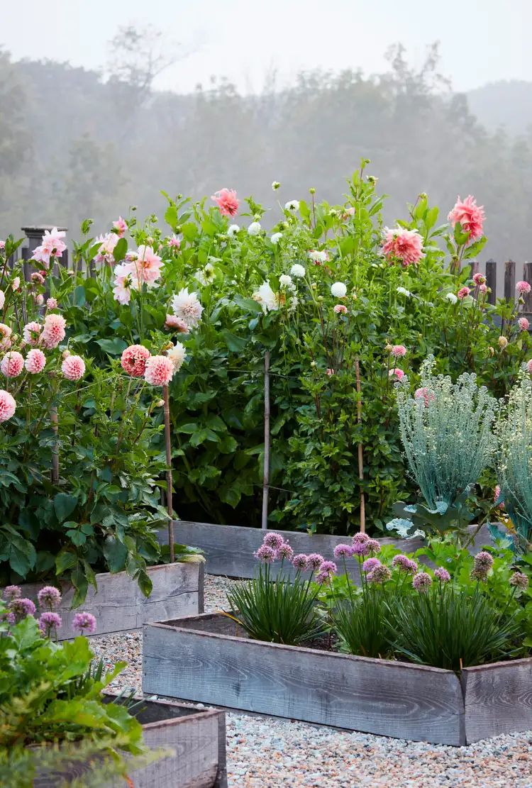 Идеальный огород на высоких грядках: 7 правил потрясающего дизайна