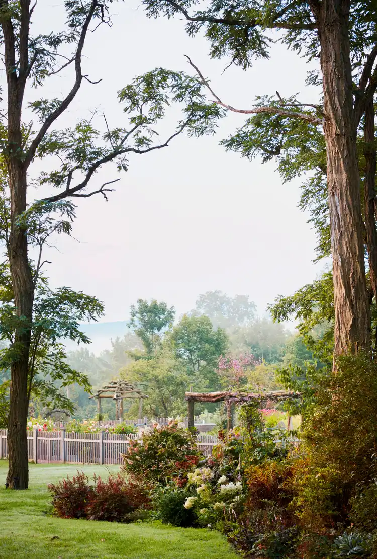 Идеальный огород на высоких грядках: 7 правил потрясающего дизайна