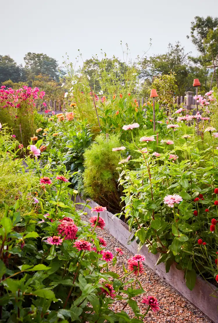 Идеальный огород на высоких грядках: 7 правил потрясающего дизайна