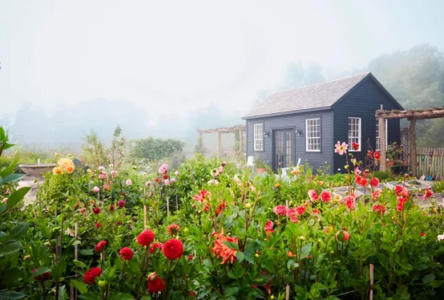 Идеальный огород на высоких грядках: 7 правил потрясающего дизайна