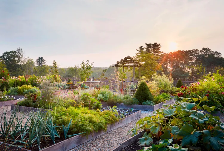 Идеальный огород на высоких грядках: 7 правил потрясающего дизайна