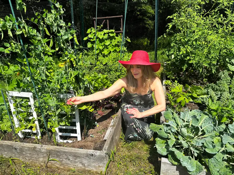 6 овощей, которые нужно собирать чаще, чтобы увеличить урожай