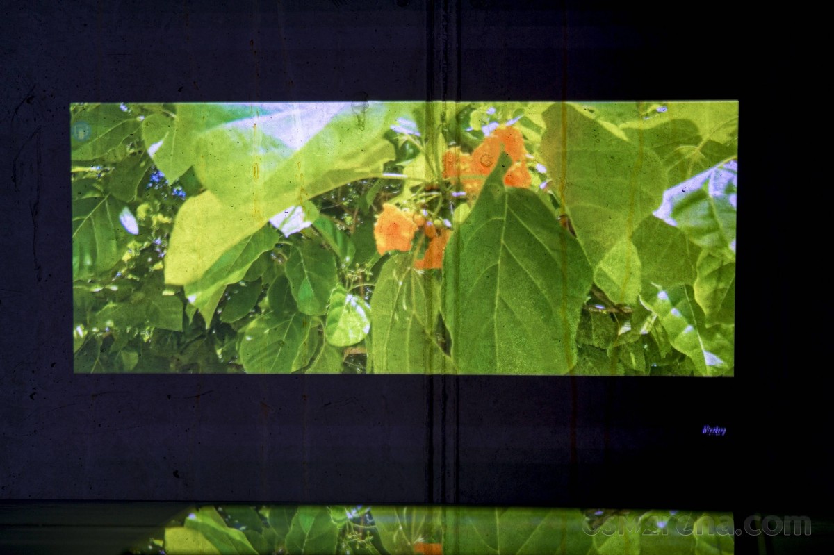 Blackview Active 12 Pro