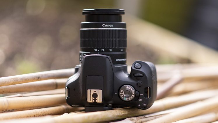 Canon EOS Rebel T7 / EOS 2000D