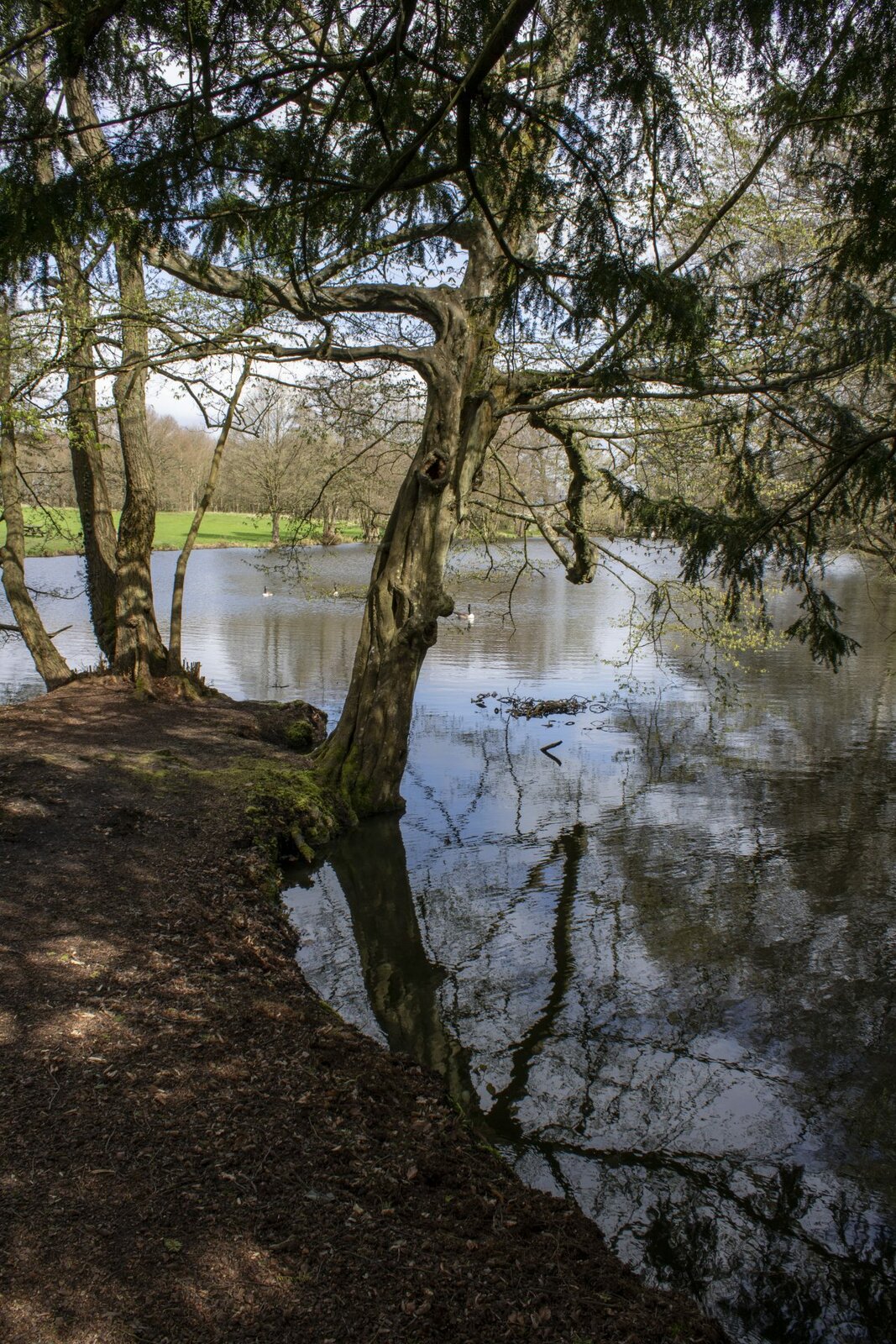 Canon EOS Rebel T7 / EOS 2000D