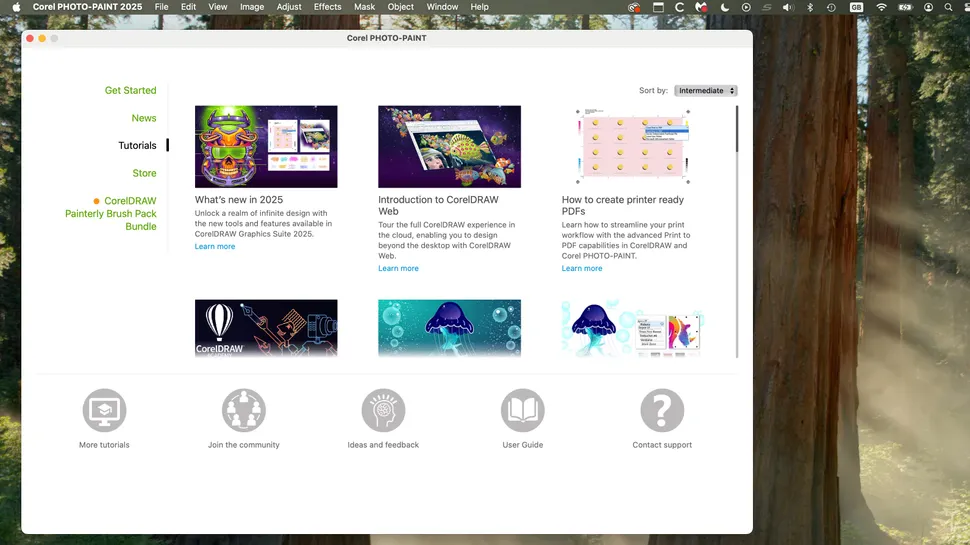 CorelDRAW Graphic Suite 2025