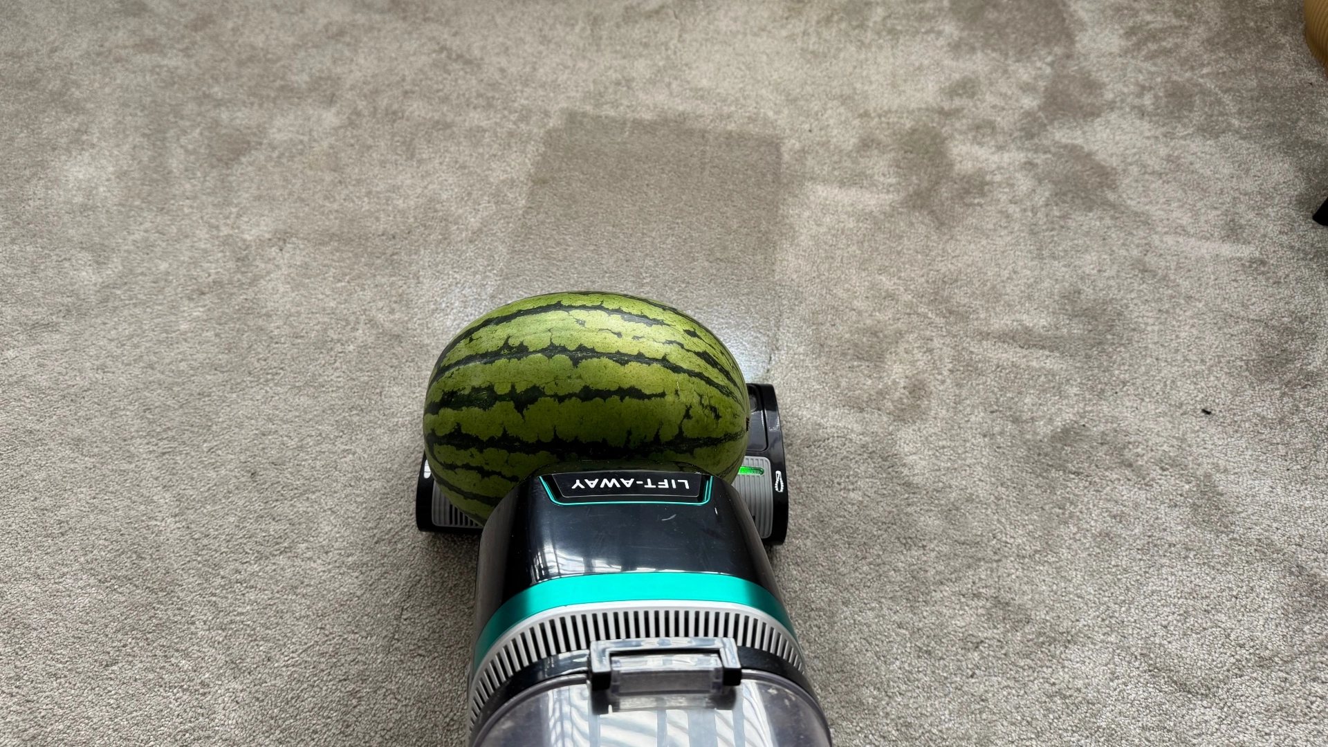 Арбуз на пылесосе: гениально или безумно?