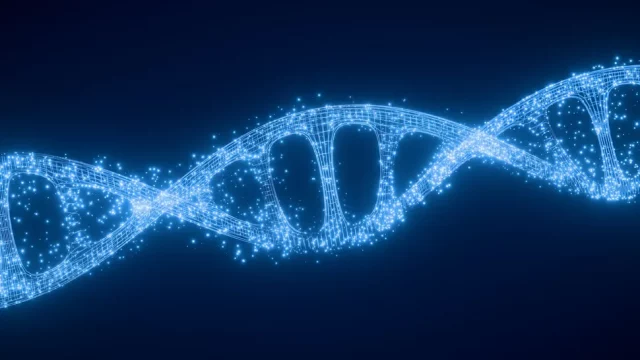 Спячка для людей – уже не фантастика! Как гены зимней спячки могут изменить медицину?