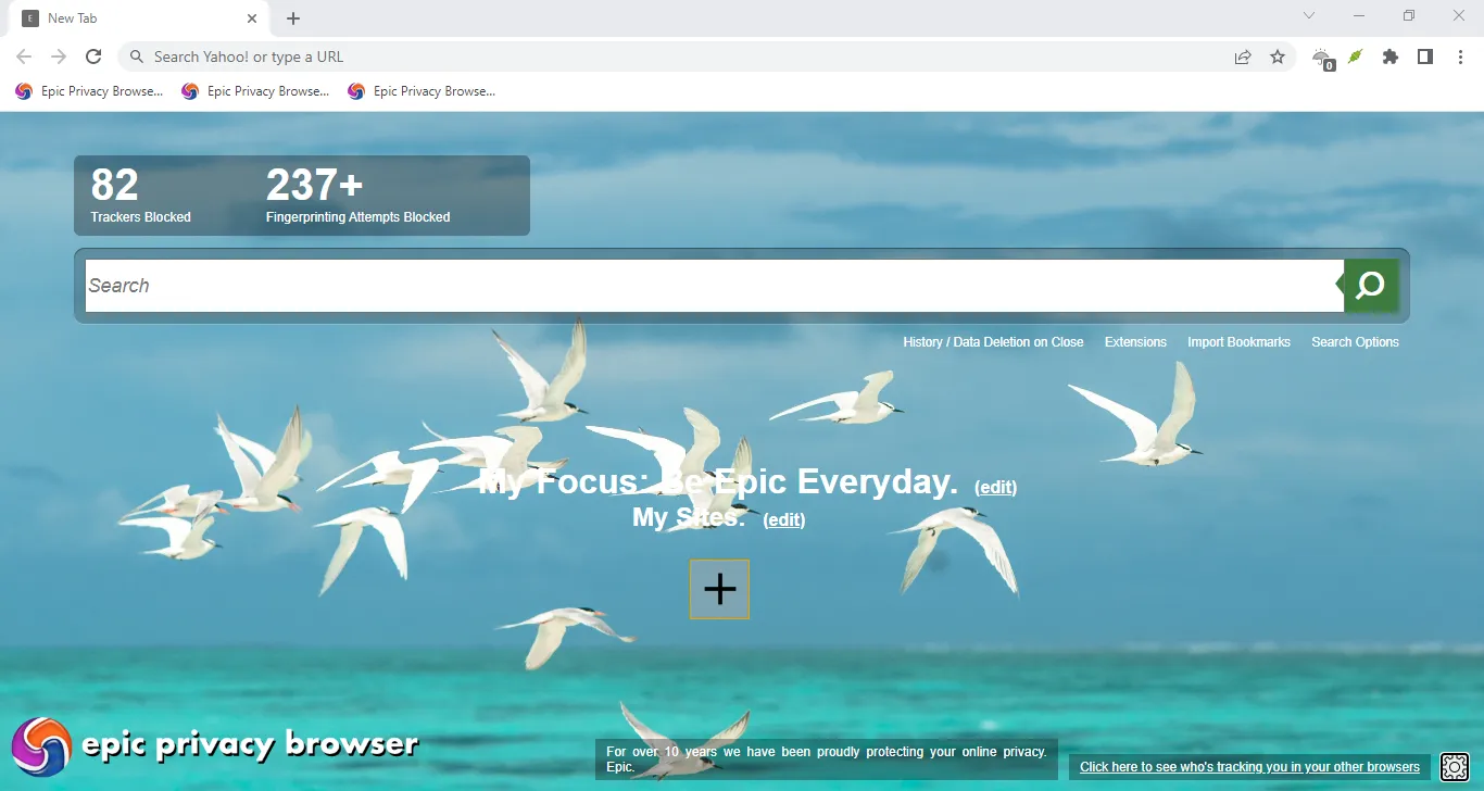 Обзор Epic Browser: браузер с акцентом на конфиденциальности