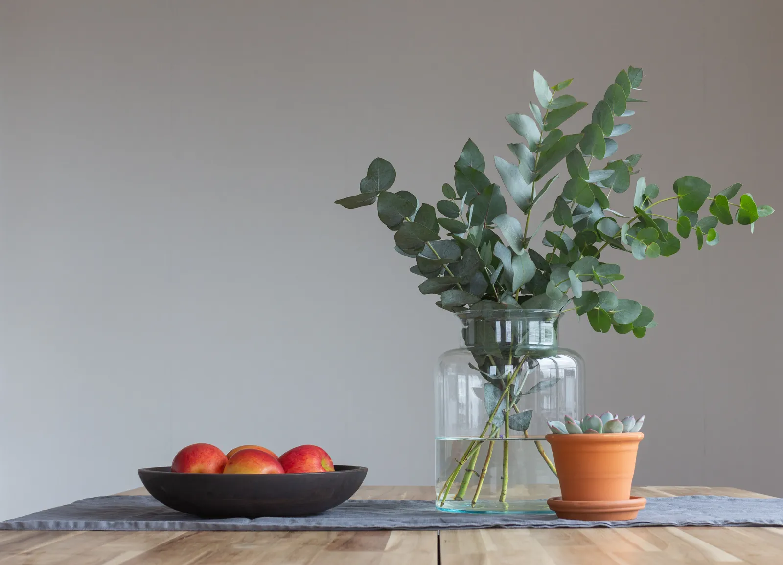 Счастливые и несчастливые растения: полный гид