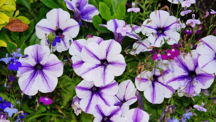 Обзор Godox iT30 Pro: маленькая, но могучая TTL-вспышка фото