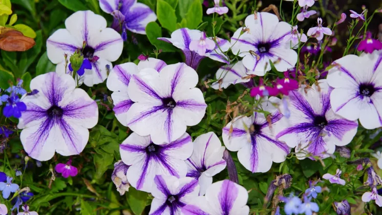 Обзор Godox iT30 Pro: маленькая, но могучая TTL-вспышка фото