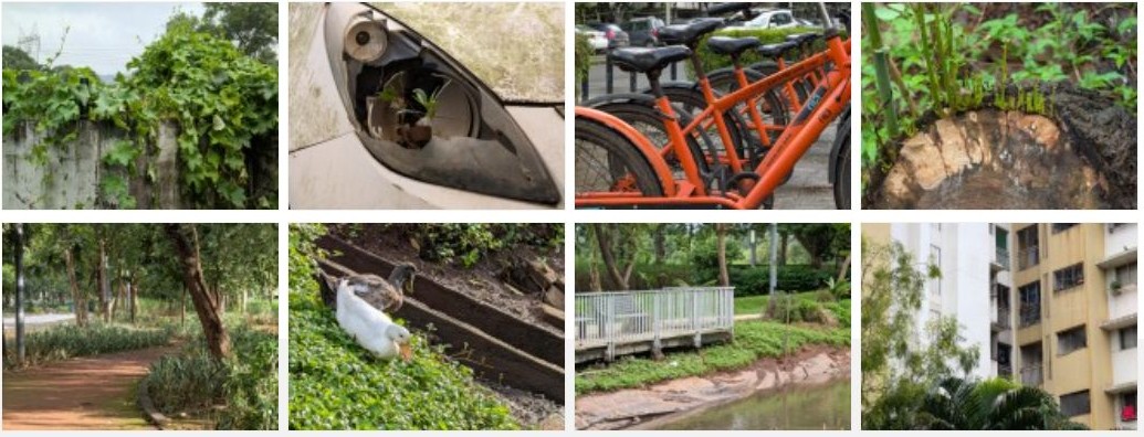 Google Pixel 10 Pro XL